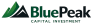 BluePeak Capital Investment