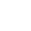 Ever IA
