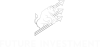 FutureInvestment LTD