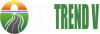 Logo SkyTrendVault