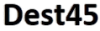 Logo Dest45