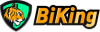 Logo Bikingex
