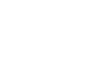 Apexparagonvest logo