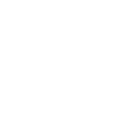 Ever IA logo