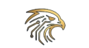 Falcon Markets logo
