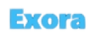 Exora logo