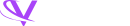 Velmont Capital logo