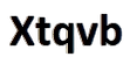 Xtqvb logo
