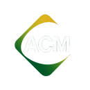 Acm Index logo